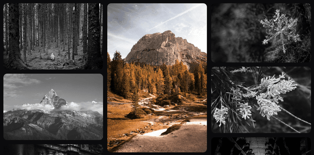 Image Gallery